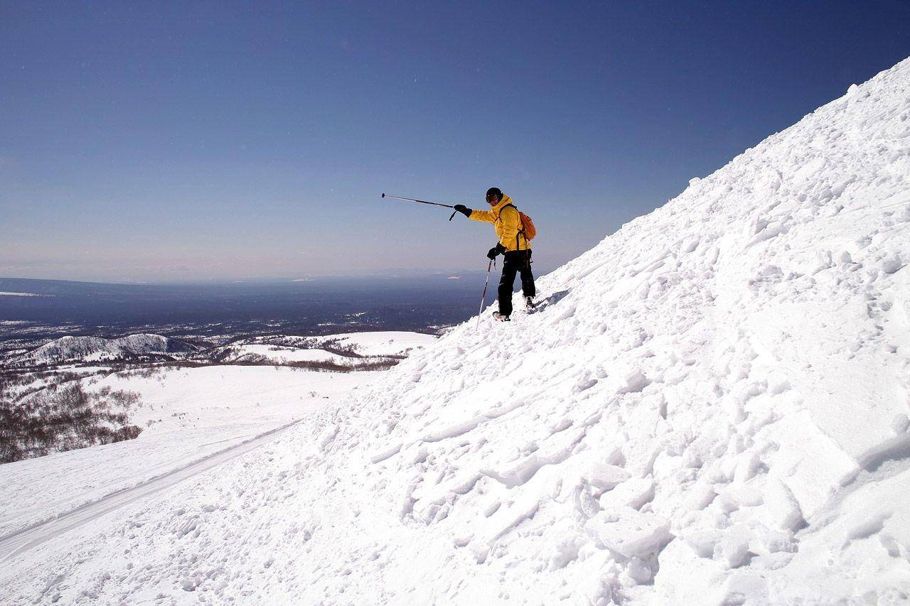 南、北两派互刷世界观?这次竟然站一队了!