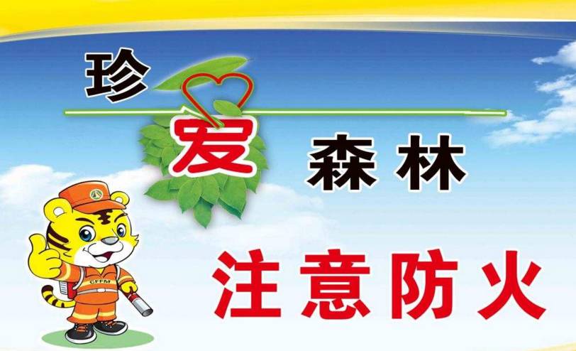 十一不怕没处浪!广东623个免费森林公园名单大公布,快看离你最近的有哪些
