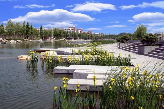 重磅!河南学子终于熬出头了!985、211将成为历