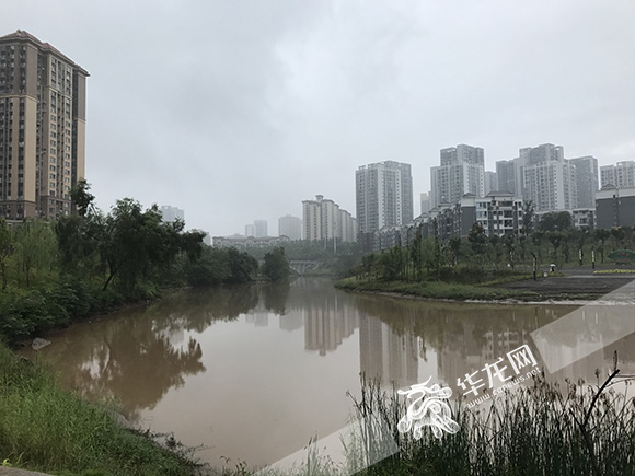 【参政议政巴渝行】区政协提案助力污染治理