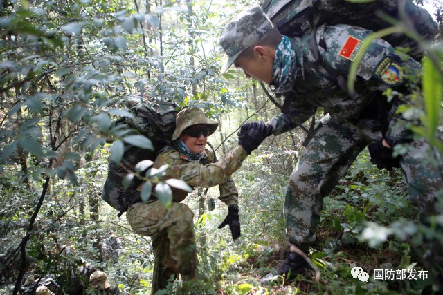 双方队员互相帮助穿越丛林。
