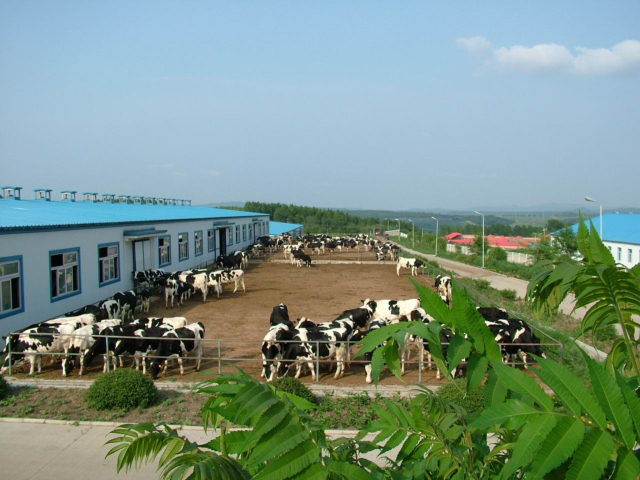 直播生活淘粉丝福利:你喝奶,我补贴!