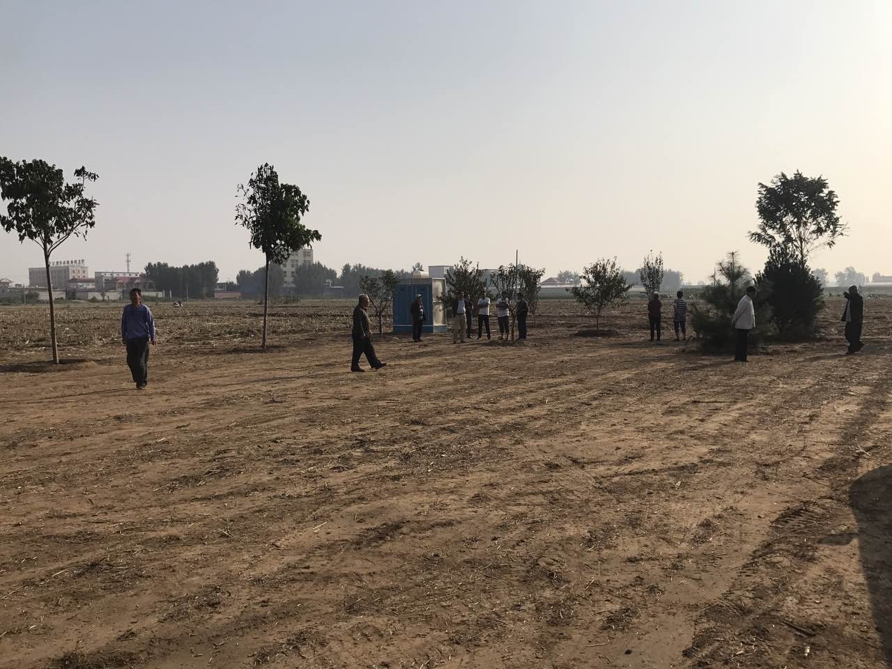 全国首例!雄安新区千年秀林这样建|雄安新区