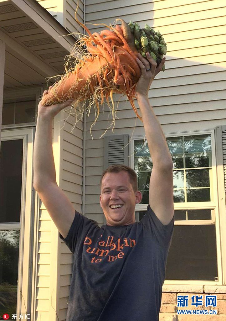 美国爸爸种出世界最大胡萝卜 重20斤状如树怪