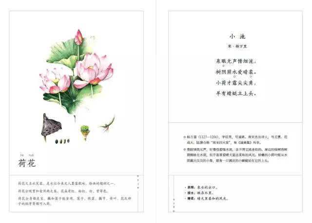 藏在古诗里的植物小百科,这本诗集用文字展示自然之美