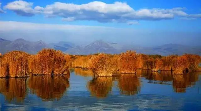 2020年底,西安去银川只需3小时!银西高铁陕西