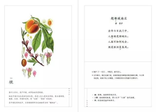藏在古诗里的植物小百科,这本诗集用文字展示自然之美