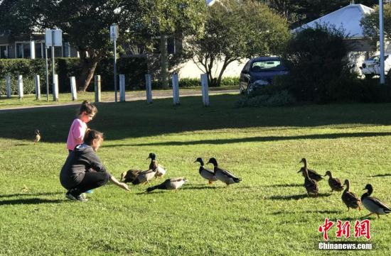 澳媒:永居、入籍有何不同?这份指南告诉你|签证