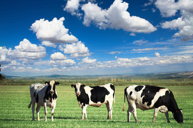 直播生活淘粉丝福利:你喝奶,我补贴!|完达山|纬