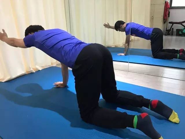 5种核心力量训练方法,保证运动中正确的身体姿势