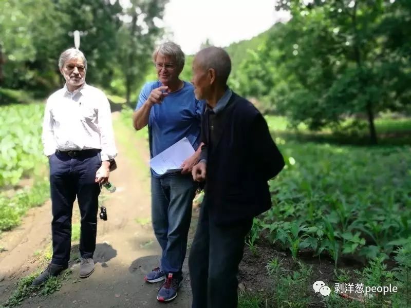 中国63%的农村孩子没上过高中?这是真的么|罗