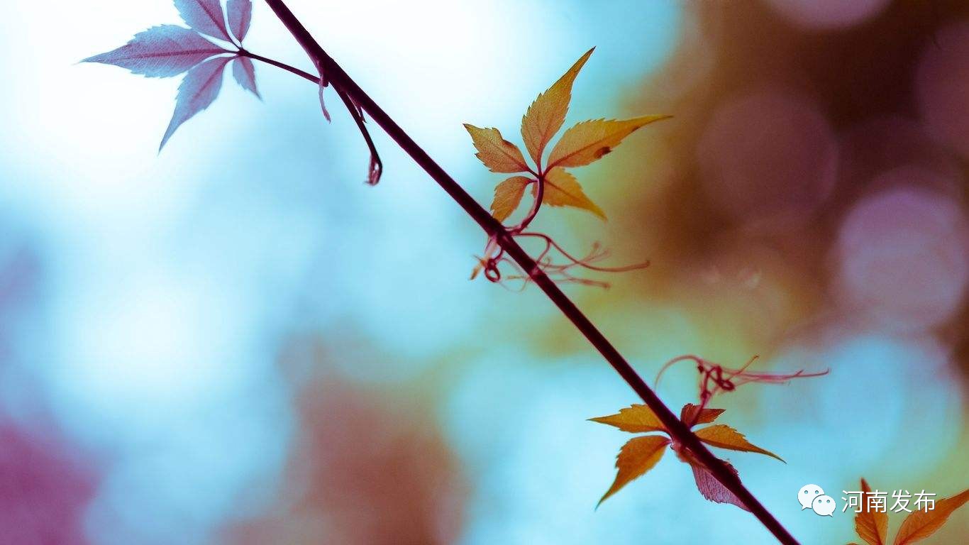 注意!“三秋”时节河南无明显连阴雨,下月将有四场降水|气象局|降水|连阴雨_新浪新闻