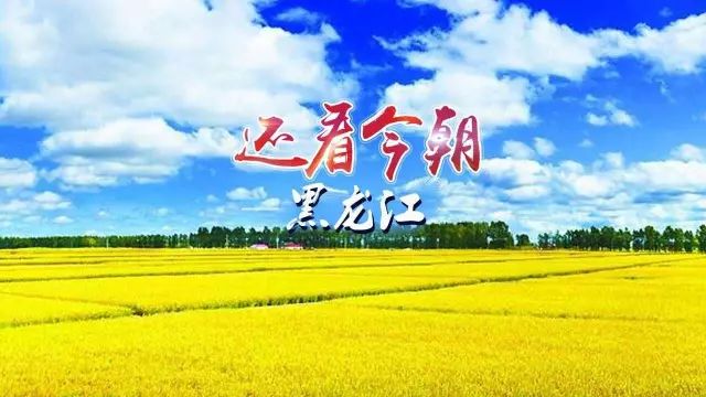 点燃黑龙江人的大片《还看今朝·黑龙江篇》上
