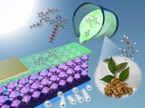 研究:韩国团队用核桃香料做出太阳能电池|太阳