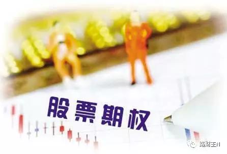 一家汽车公司,让一堆对冲基金下跪,结局是什么