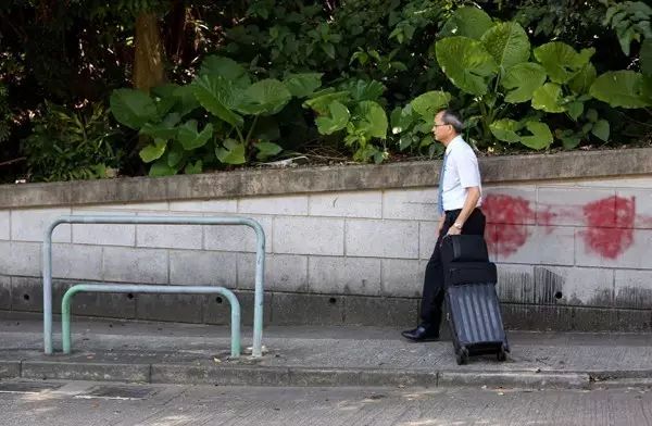 10年间,这位香港教师靠着自己的执着,为20万湖