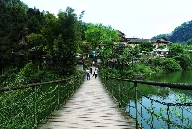 上山徒步两日,人间已是百年|报国寺|峨眉山|旅游
