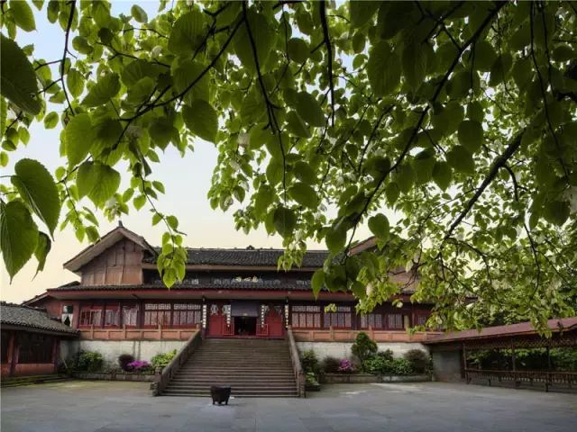 上山徒步两日,人间已是百年|报国寺|峨眉山|旅游