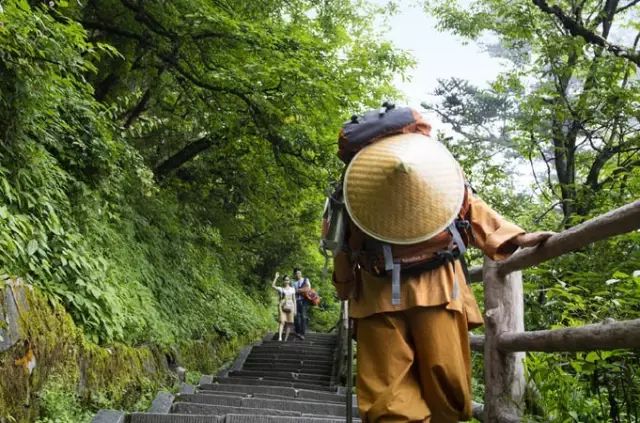 上山徒步两日,人间已是百年|报国寺|峨眉山|旅游