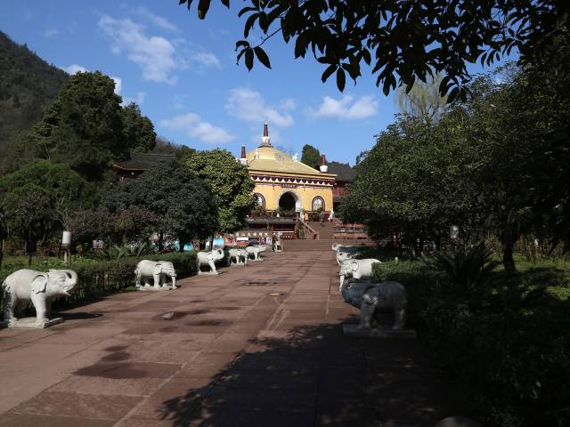 上山徒步两日,人间已是百年|报国寺|峨眉山|旅游