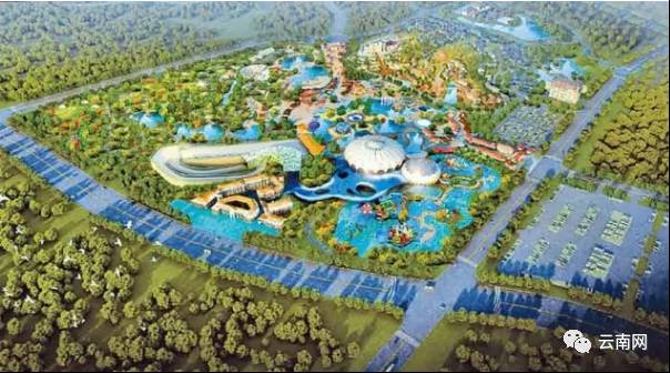 厉害!云南这个地方成为中国第一!更让人兴奋的是…|云南|旅游|和平公园_新浪新闻