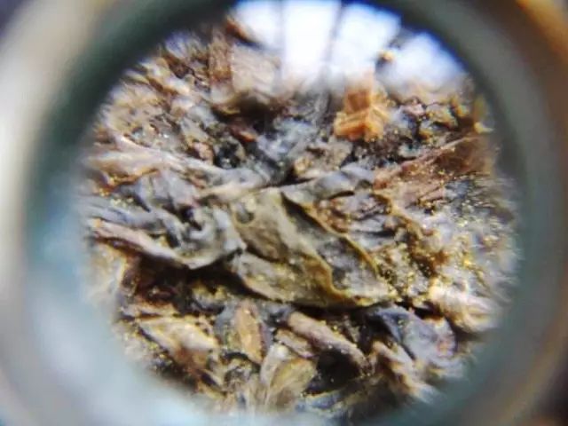 普洱茶含致癌黄曲霉毒素?深圳消委会测评了1