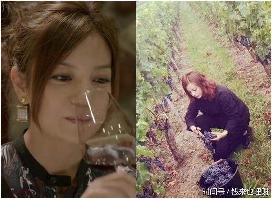 小燕子赵薇的理财之道!|赵薇|股权|理财