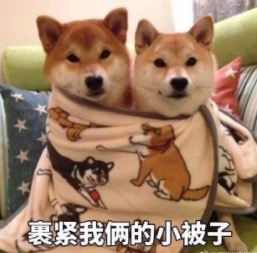 谁才是iPhone 8中国第一人? 首富同款 竟随处可