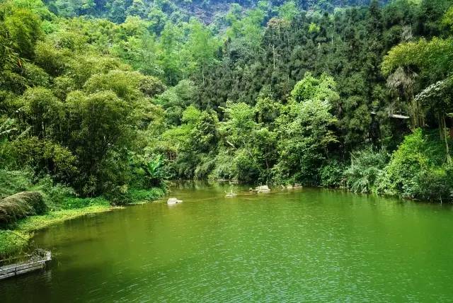 上山徒步两日,人间已是百年|报国寺|峨眉山|旅游