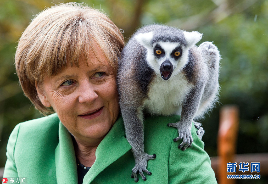 德国大选将至 回顾邻家大妈默克尔朴实亲民趣