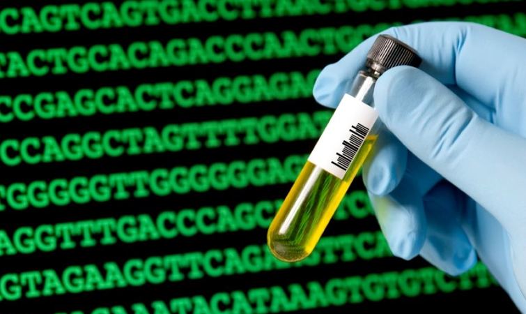 基因检测预测不了你的未来,但它能计算人类的