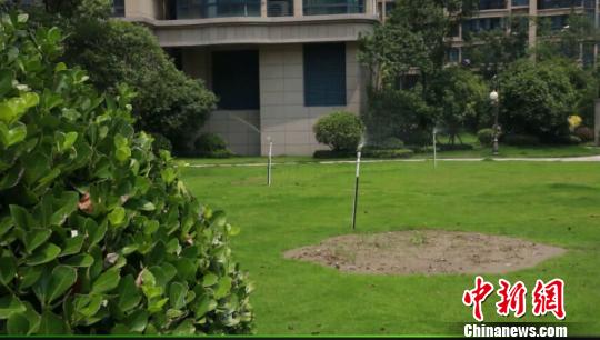 江苏如皋千年特产天水茶演绎爱水惜水情怀|如