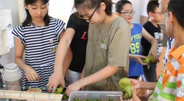 记者了解到，一瓶五粮液的市场价要1000多元，1个柿子网上只卖3元，这笔买卖好像亏大了。