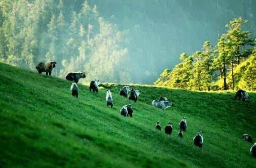 美爆了!西成客专新建车站首次曝光!沿途这些美食美景,错过可不要后悔呦!