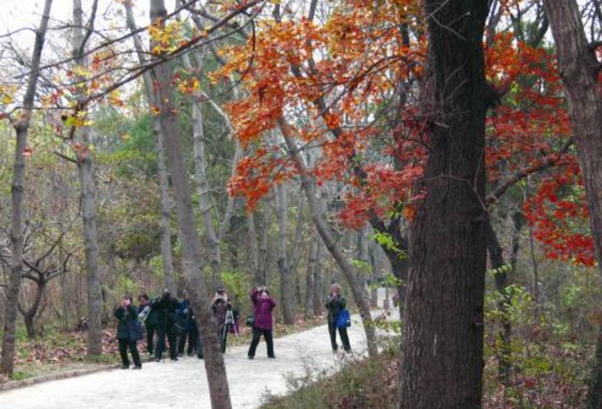 收藏!国庆期间安徽必去的人少景美的旅游景点
