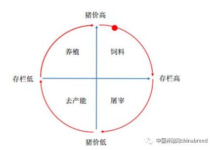 2017年中国养猪业现状分析及未来发展前景预