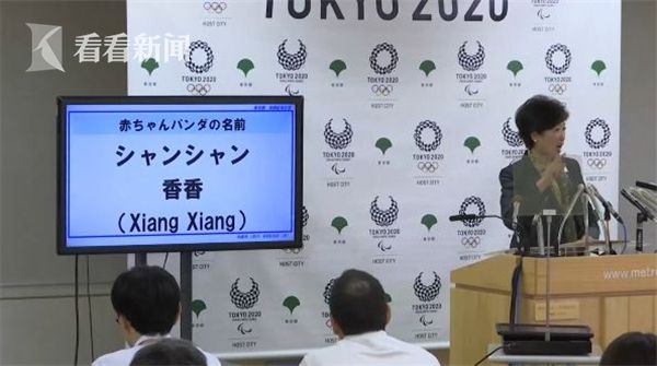 视频|卡哇伊!日本熊猫宝宝取名香香 爱撒娇也