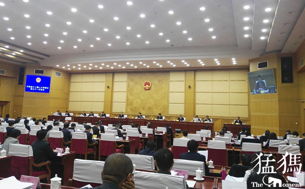 河南全省村民委员会换届选举时间拟推迟至明年