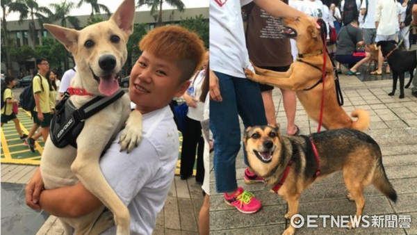  过去为虐狗事件声援的动保团体曾到“国防部”抗议。（图片来源：台湾“东森新闻云”）
