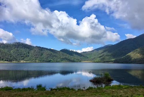 用心感受自然 阅读体验自然之美--广汽丰田森