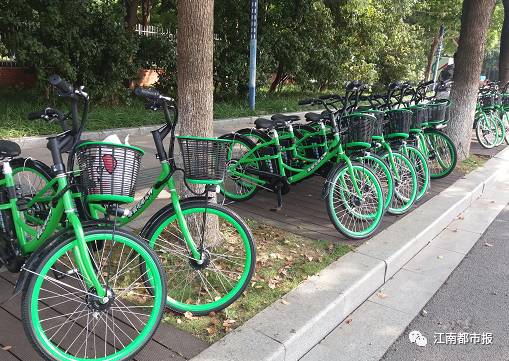 共享 电单车 来南昌啦!起步价每小时3元 时速达