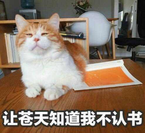 明小俩口结婚后,老公拉黑全家玩失联.生孩子他