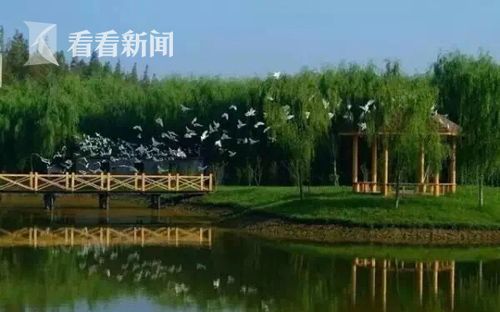 我国人均水资源_我国人均森林资源