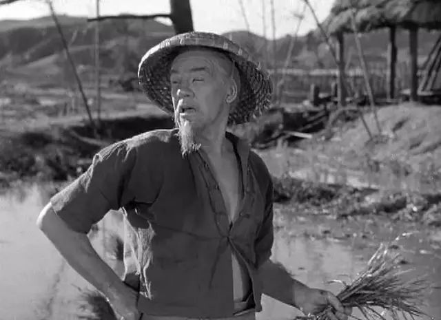 这部抗日神剧中国农民全说英语 还提名了奥斯