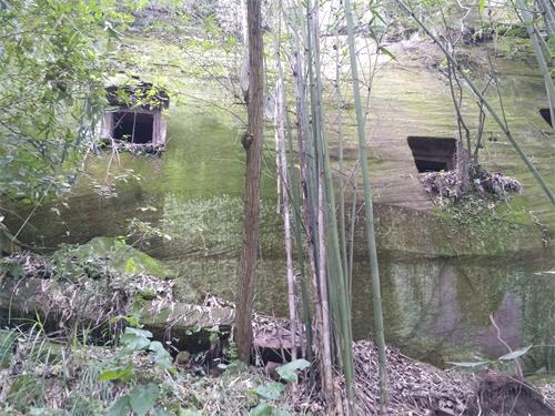 铜梁大庙镇:惊现近20个蛮子洞 疑为东汉悬崖