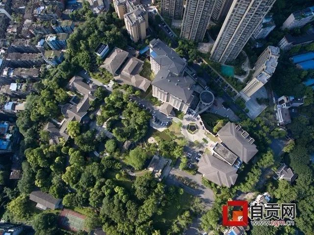 4年后如果还在自贡,你会庆幸自己没有离开这座