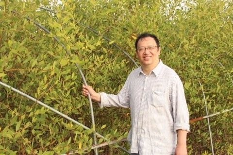 ▲复旦大学研究生院院长、著名植物学家钟扬。网络图片