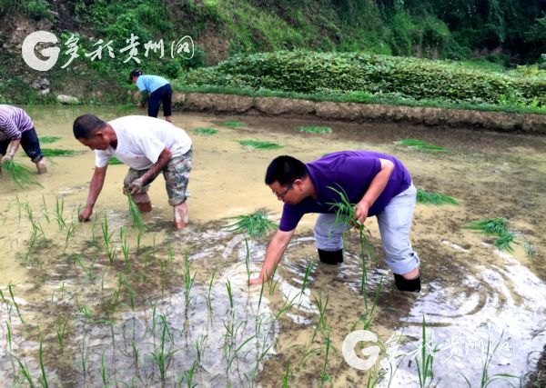 脱贫攻坚群英谱 | 听听第一书记彭学刚和前锋村