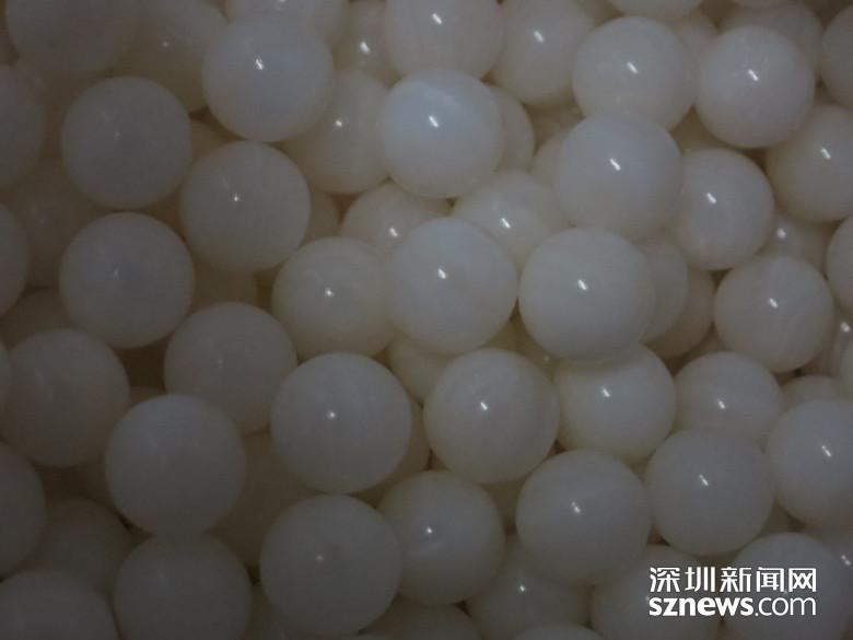 男子偷带濒危贝王入境 数千颗宝石被海关截获