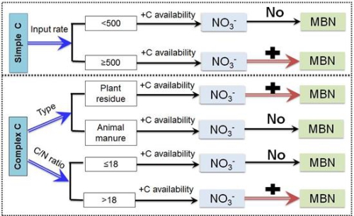 南京土壤所土壤硝态氮同化过程研究取得进展|硝态氮|同化|土壤_新浪新闻